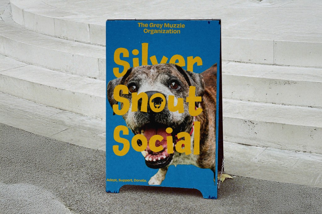 Silver Snout Social poster design